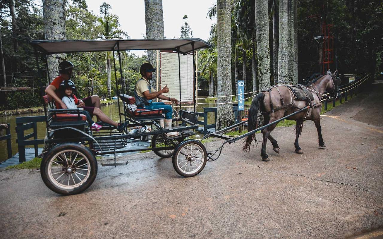 Hotel Fazenda Campo Dos Sonhos Socorro  Exterior photo